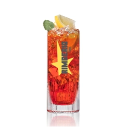 Custom Hi Ball Glasses